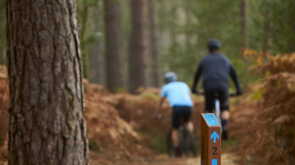 MTB on the blue trail